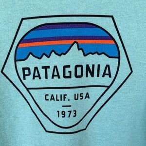 Long sleeved Patagonia tshirt blue green Large